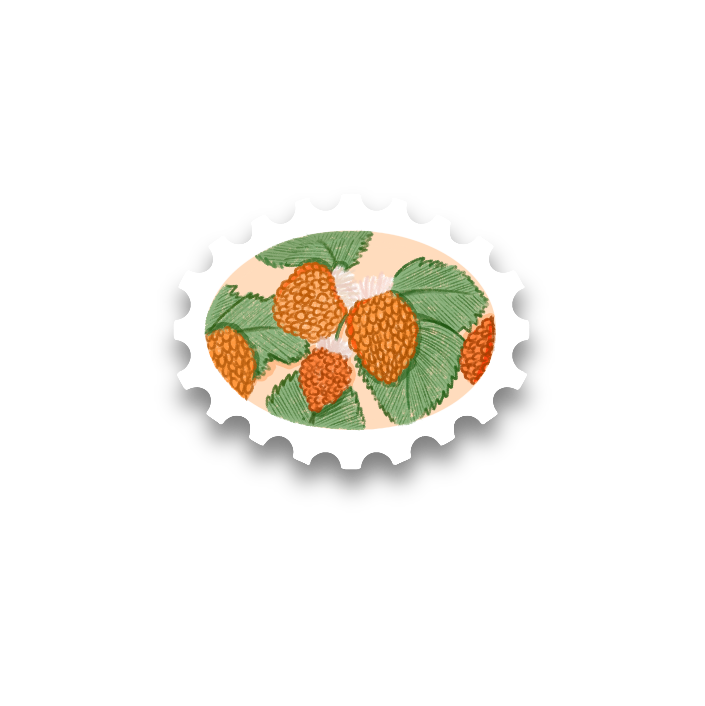 Salmonberry Stamp Vinyl Sticker