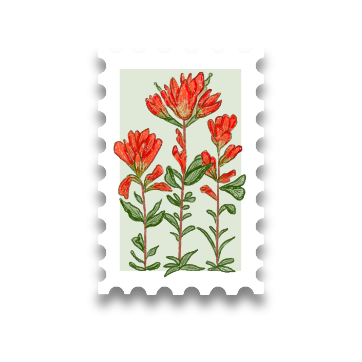 Indian Paintbrush Stamp Vinyl Sticker