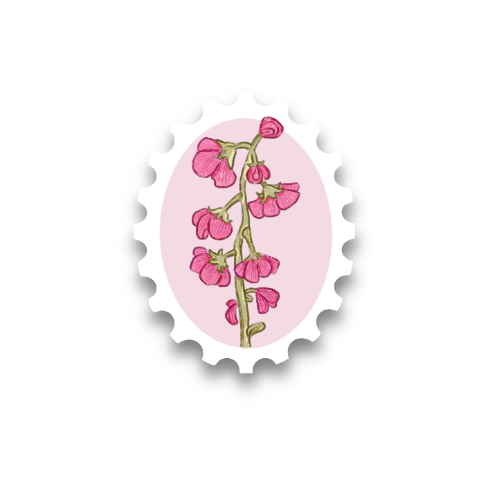 Liverleaf Wintergreen Stamp Vinyl Sticker