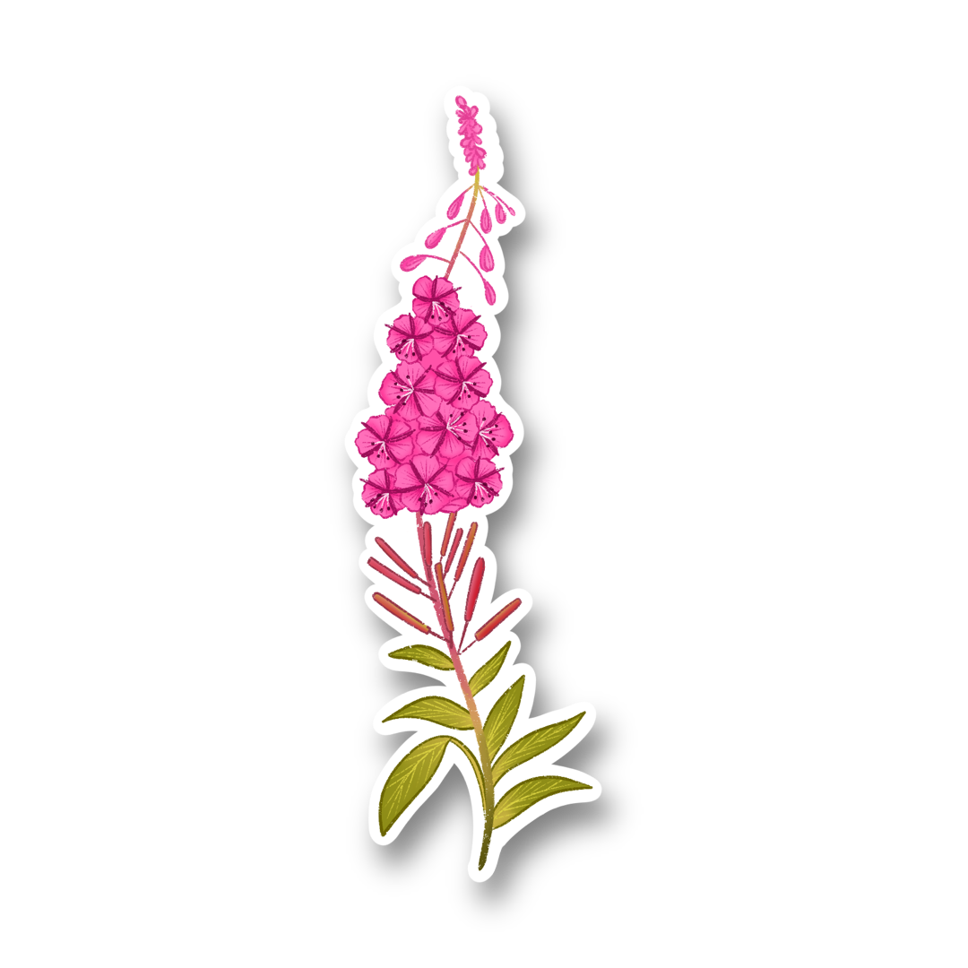 Fireweed Vinyl Sticker