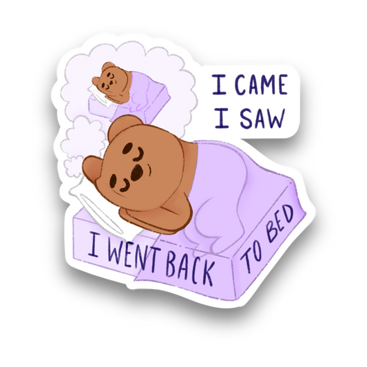 I came, I saw, I went back to bed Vinyl Sticker